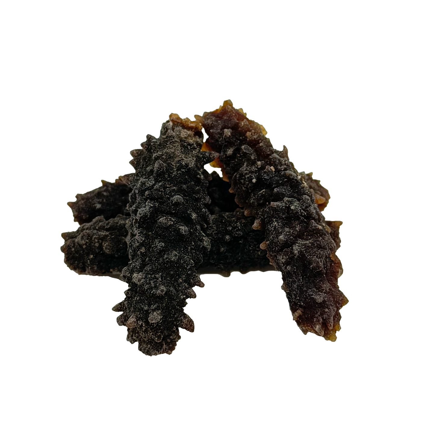印尼刺皇 海參 100頭 150g庄