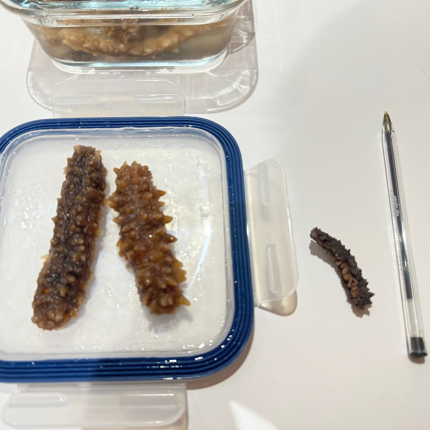 印尼刺皇 海參 100頭 150g庄
